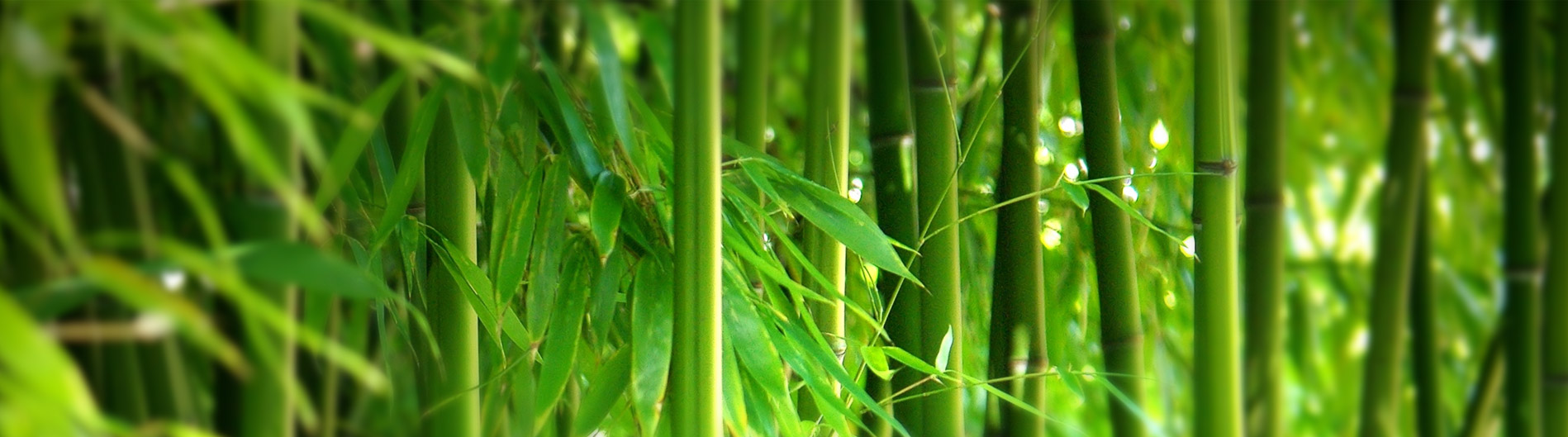 image02